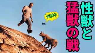 クーガーと素手で戦う煌の薄毛!!【GTA5】