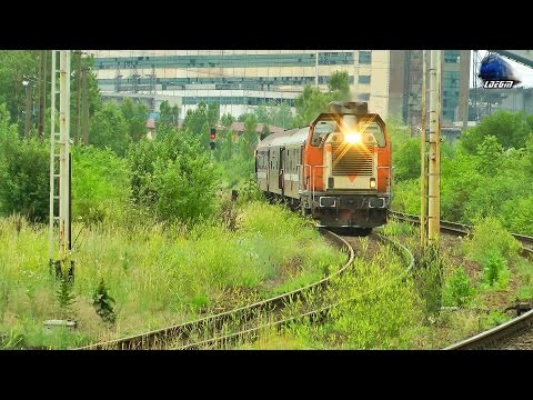 Torpila LDH 82-0446-3 & Mecanic de Traba/Nice Engineer in Oradea Est Triaj - 21 June 2016