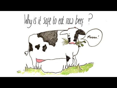 Why is it Safe to Eat Raw Beef?
