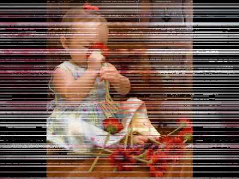 ALAIN BARRIERE  -  PETITE FEE