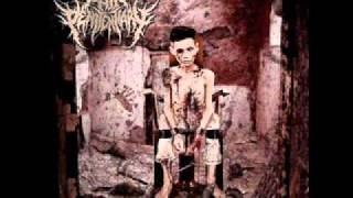 Pain Penitentiary - Of Frail Limbs And Decay