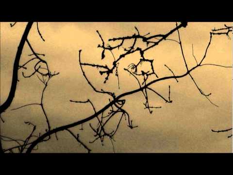 Trees of Introspection - Ouverture