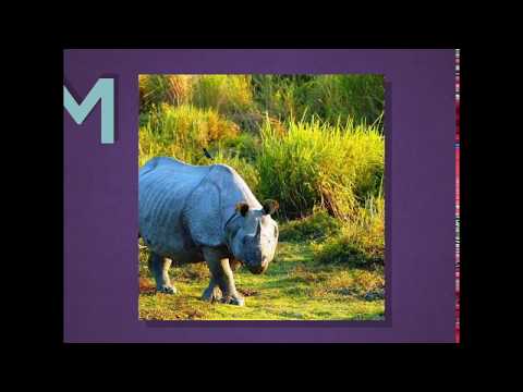 Manvi India especial 38 UNESCO World Heritage Sites India