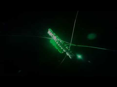 Hangi İntro Daha İyi ?