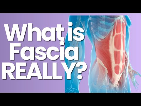 Why Fascia Science is the Key to Pain Relief and Performance
