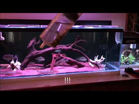 How to sink floating pellets!