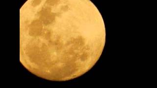 Anda Lua - Nana Caymmi