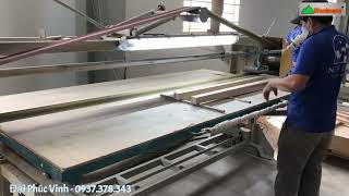 Máy chà nhám băng nằm bàn trượt Woodmaster - Máy chà nhám mà xưởng nào cũng có WM-250S