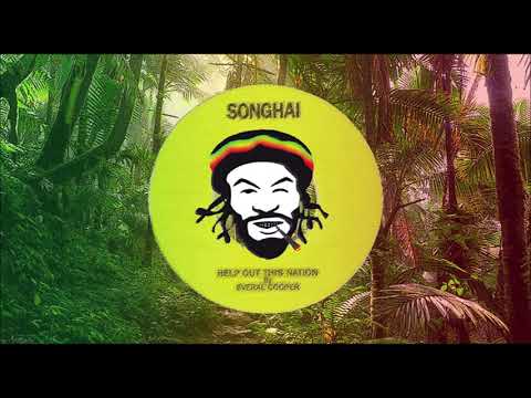 🎤 Everal Cooper & The High Two ‎- Help Out This Nation 🔊 2016