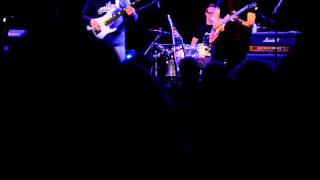 Steve Hackett &amp; Djabe Live Vienna 2012(Firth of Fifth)