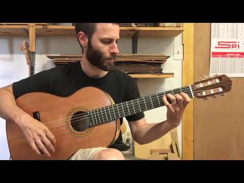 Guitar #97 - Cedar top Blanca