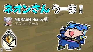 【VALORANT】HoneyBunnyさんにも褒められるSGネオン専