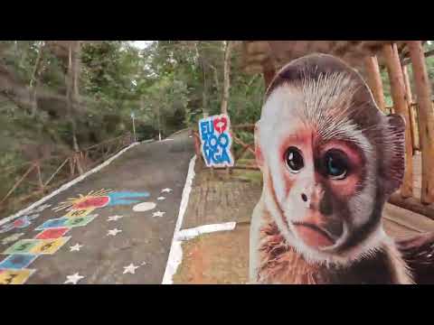 VARGINHA-MG ZOOLÓGICO E SHOPPING