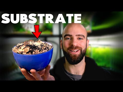 Why You NEED This Substrate | MD Fish Tanks