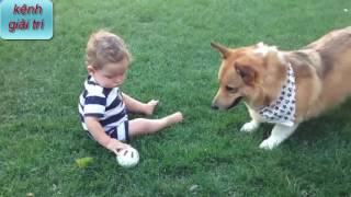 Big Dogs Playing with Babies Compilation 2016 NEW 