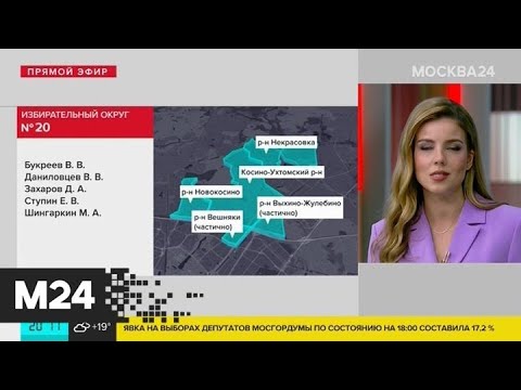 Как проголосовать на выборах в мосгордуму. Блокчейн дистанционное электронное голосование. Карта голосования. Выборы в мосгордуму. Выборы в мосгордуму 2019 результаты.