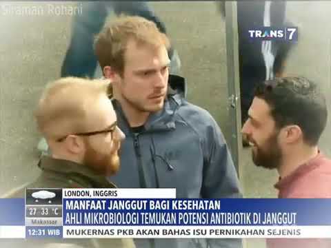 Menyembuhkan harga palu Thor di apotek Aku bercerita tentang penis kecil