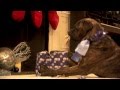 O2 - Be more dog Christmas party - YouTube