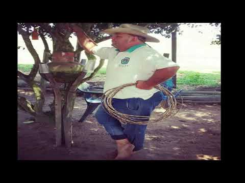 DE GUINDAR, MEJOR CAER- JESUS DANIEL QUINTERO EL TIGRITO DE MATANEGRA