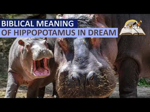 Biblical Meaning of HIPPOPOTAMUS in Dream - Spiritual Meaning of Hippo