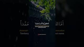 Download lagu STORY WA SHOLAWAT - KULLUL QULUB mp3