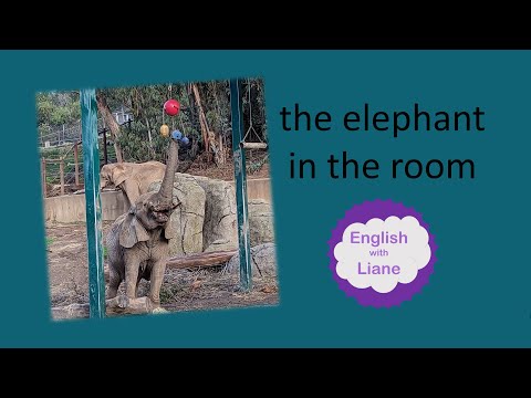 Idiom - the elephant in the room