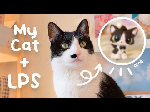 Lps Cats
