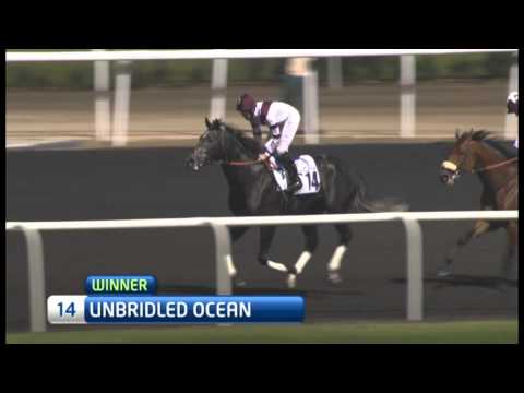 21.02.2013 Meydan (Dubai-UAE) 5.Race SMKA Trophy - 1.600 m