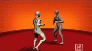 Tecinas de combate-sinking python