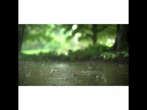 Diganta Ghosh Dil diya gallah with harmonium