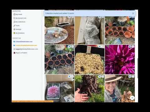 How to create a collection using Bluesky Feed Creator