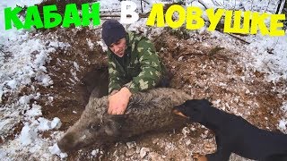 Клетка для ловли кабана