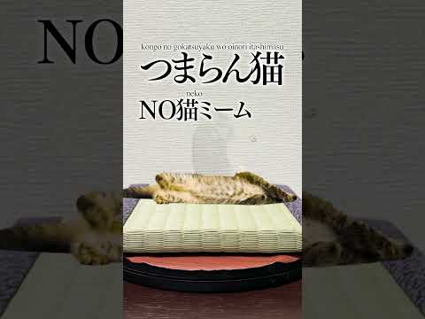 This is NIPPON "Cat Meme"