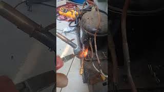 Download lagu Ngelas pentil kulkas mp3 Download lagu Ngelas pentil kulkas mp3