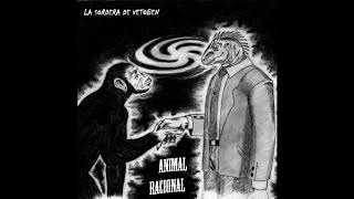 Sentimiento de culpa - Animal Racional