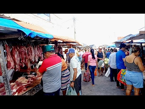 Feira Livre de Vila Quebec Camutanga PE 
