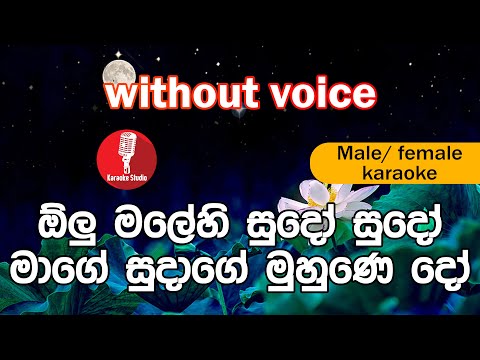 Karaoke - Olu Malehi Sudo Sudo (without voice) ඔ්ලු මලේහි සුදෝ සුදෝ
