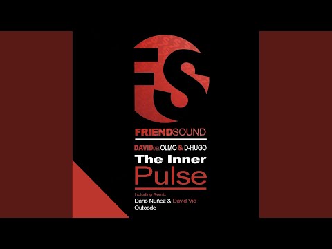 The Inner Pulse (Dario Nunez And David Vio Remix)