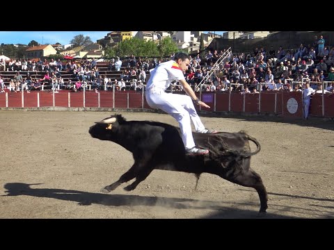 Fermoselle 2022 Concurso Benéfico de Recortadores