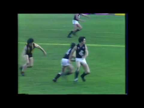 1982 Qualifying Final Carlton vs Hawthorn - Carlton only highlights