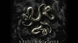 Meshuggah - Mind&#39;s Mirrors / In Death Is Death