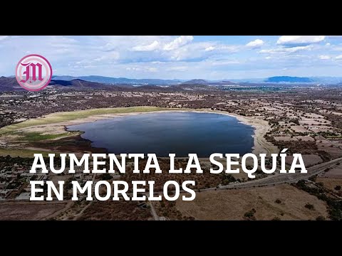 Presentan sequía los 36 municipios de Morelos