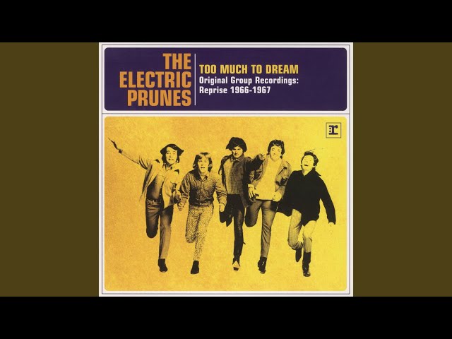 The Electric Prunes: L'irreverente gruppo musicale che ha fatto storia