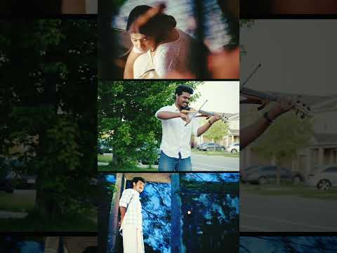Anuraga Vilochananayi Violin | Neelathamara | Shorts | Yedu Krishnan | Alwin James | Amal Dev