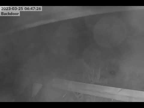 Early AM aircraft noise, Khandallah, Wellington