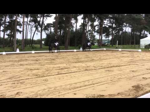 Fürst M 8,2 Holdorf DrPf A 28.8.2015