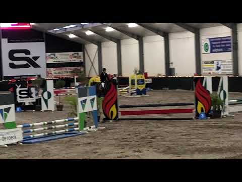 Picasso van de Veldstraat First show 3,5y Hulsterlo