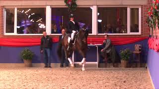 Video koně Franklin