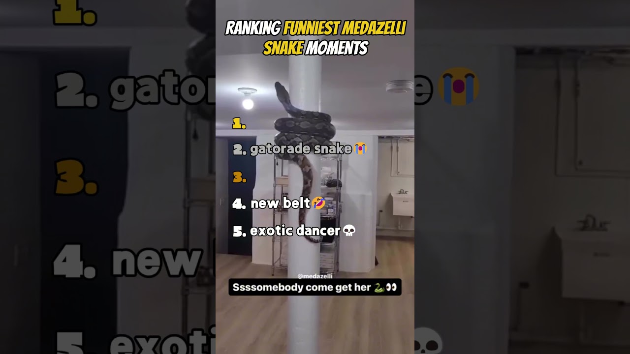 Ranking The Funniest Medazelli Snake Moments