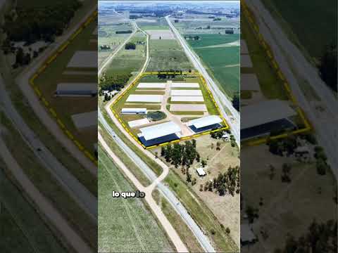 Campo 10 hectáreas en Florida Sarandí Grande